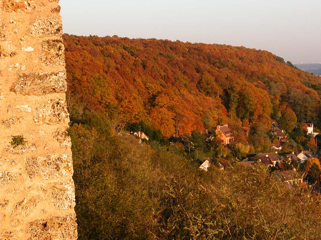 les remparts du château dominant la vallée